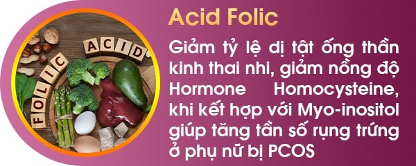 Acid folic sqwomen