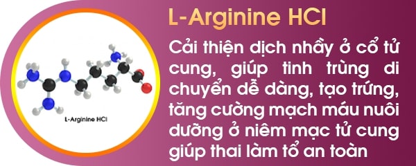 L Arginine HCl sq women