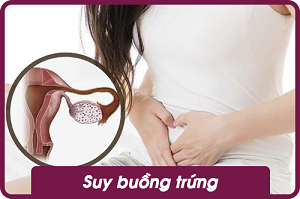 suy buồng trứng sqwomen