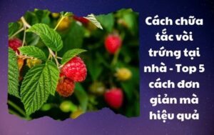Cách chữa tắc vòi trứng tại nhà